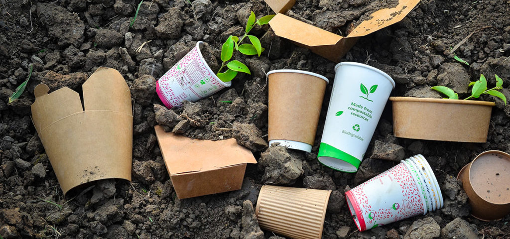 biodegradable vs compostable